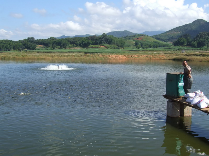 水產(chǎn)養(yǎng)殖檢測(cè)儀，為水產(chǎn)提供優(yōu)良的生長(zhǎng)環(huán)境